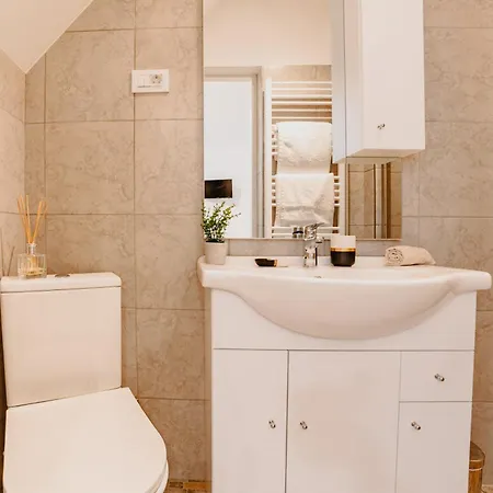 Apartment Anastasia With Parking Brasov